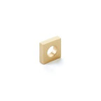 SCHAUB Cafe Modern Oval Slot Knob