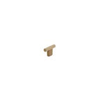 SCHAUB Aspero T-Knob